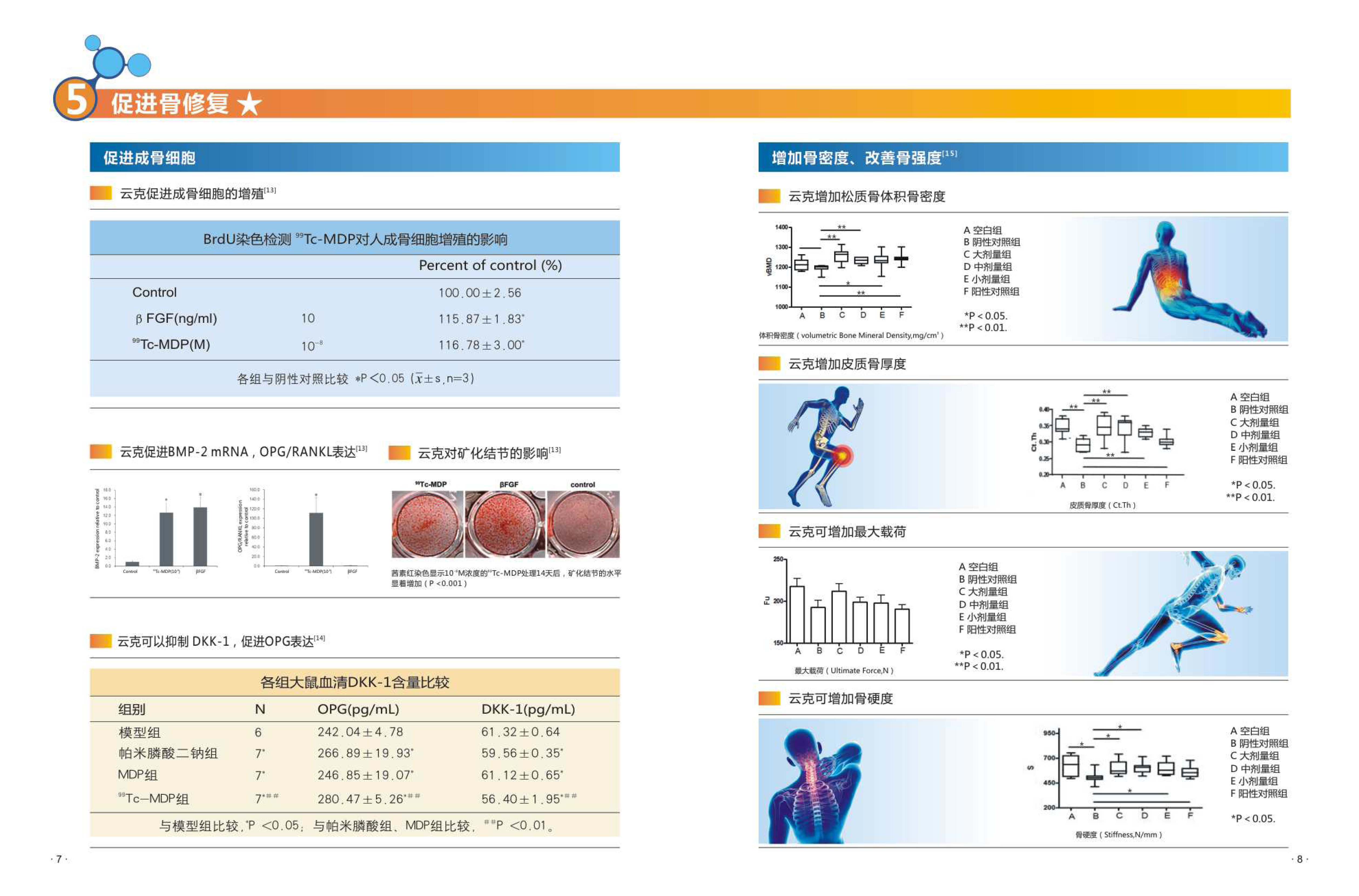 2021版宣传册_页面_5.jpg